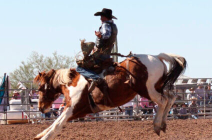 Lost Dutchman Days Rodeo