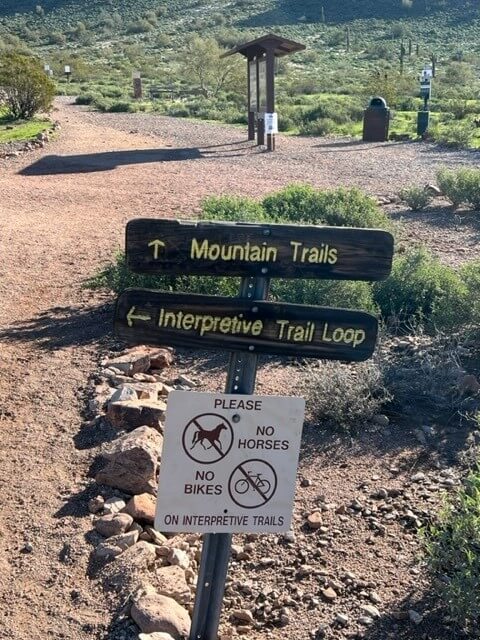A sign directing visitors toward more Silly Mountain trails and the Interpretive Trail loop.
