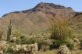 Wind Cave Trail