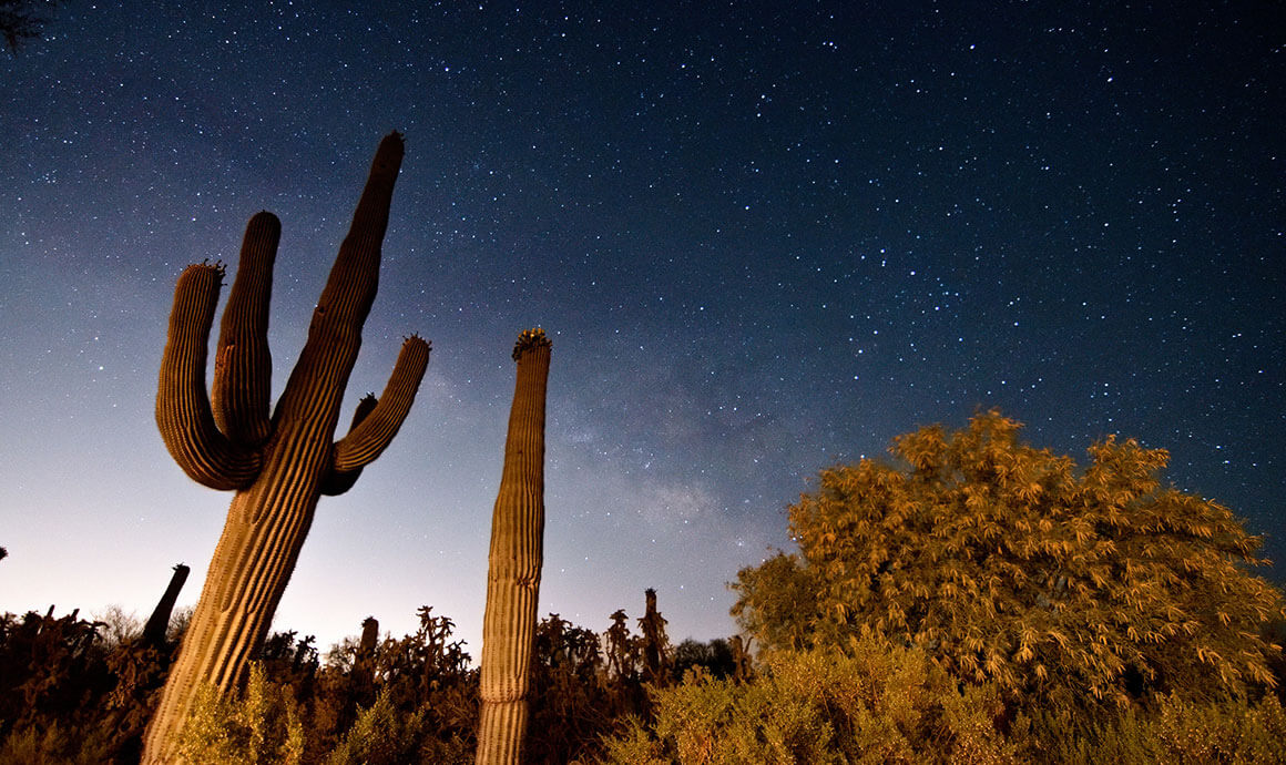 Stargazing with the Pros
